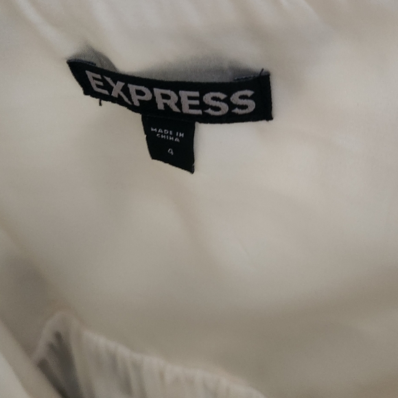 Express Dress - Picture 3 of 3